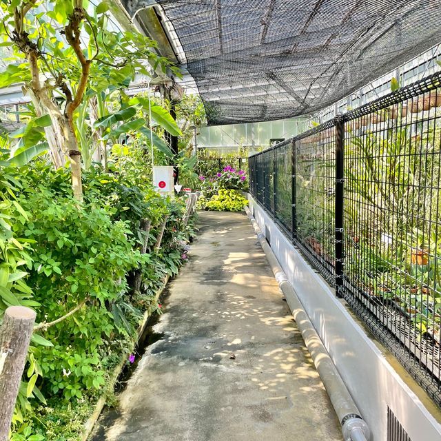 【熱川バナナワニ園】海外っぽSNS映えスポット