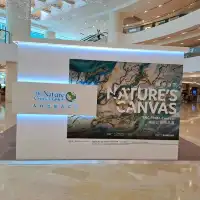 大自然保護協會攝影比賽作品展的個人體驗及感受