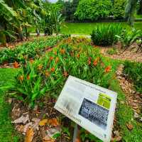 BEAUTIFUL BOTANIC GARDENS.