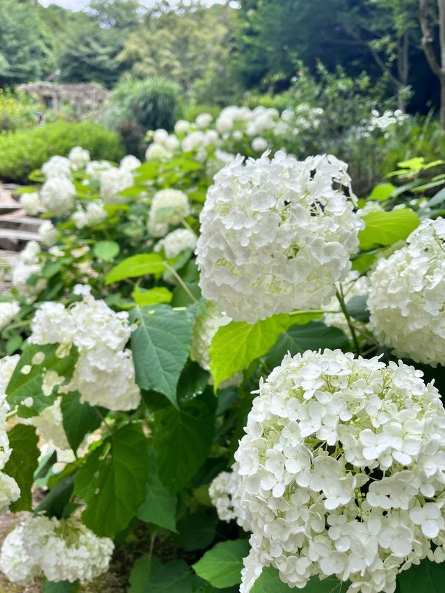 【神戸布引ハーブ園🌿ロープウェイ🚡】