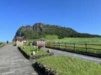 Jeju Travels 