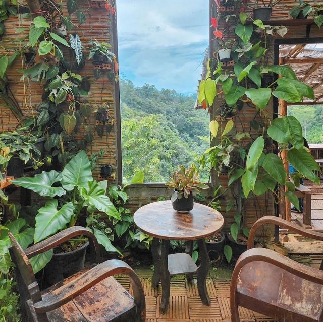 Akipu Coffee  (อะกิปุ ) จ.เชียงใหม่