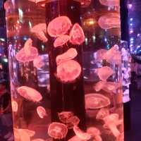 市區中的水母館