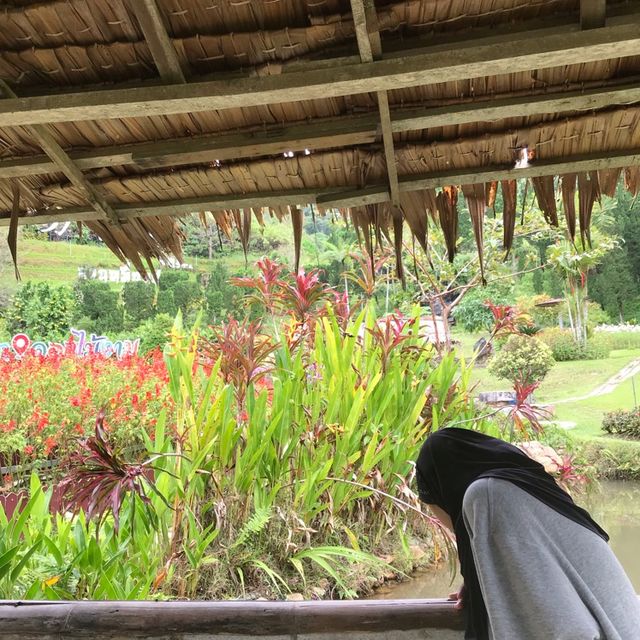 สวนไม้ดอกเมืองหนาวเบตง (สวนหมื่นบุปผาเบตง)