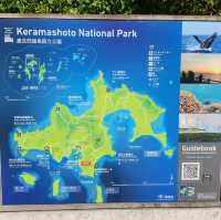 座間味島體驗浮潛樂趣