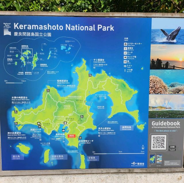 座間味島體驗浮潛樂趣
