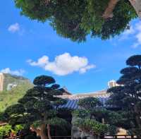 香港南蓮園池：尋找城市中的恬靜之地