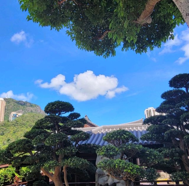 香港南蓮園池：尋找城市中的恬靜之地