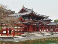 🏯 宇治平等院：日本文化遺產的瑰寶！🍵⛩️
