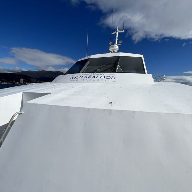 荷伯特 Tasmanian Wild Seafood Adventure海鮮遊艇之旅