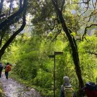 Hike Through Gandaki Forest: Nature’s Wonder 