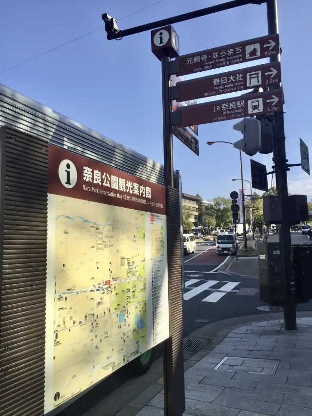 奈良公園賞楓🍁看鹿🦌