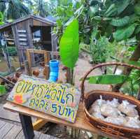 ร้านอาหารบ้านไร่มีสุข Cafe&restaurant