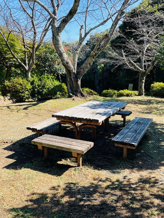 【神奈川県/源氏山公園】自然豊かな鎌倉の公園