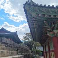 수려한 아름다움이 묻어있는 영광 불갑사 🪷