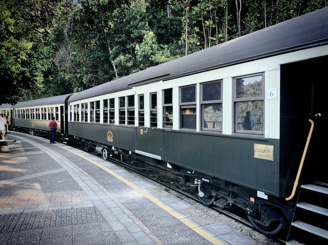 🚂開恩茲庫蘭達觀光火車：百年列車，穿梭雨林🚂
