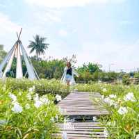 ไร่เหมือนจันทร์ คาเฟ่แนวฟาร์ม เลียบคลองทวีวัฒนา