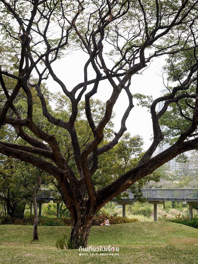 พามาเดินเล่นที่สวนเบญจกิติ สวนป่าใจกลางกรุง🌳🌱