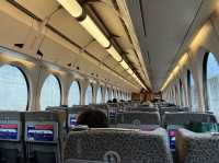 Rapi:t Express Train from KIX to Namba