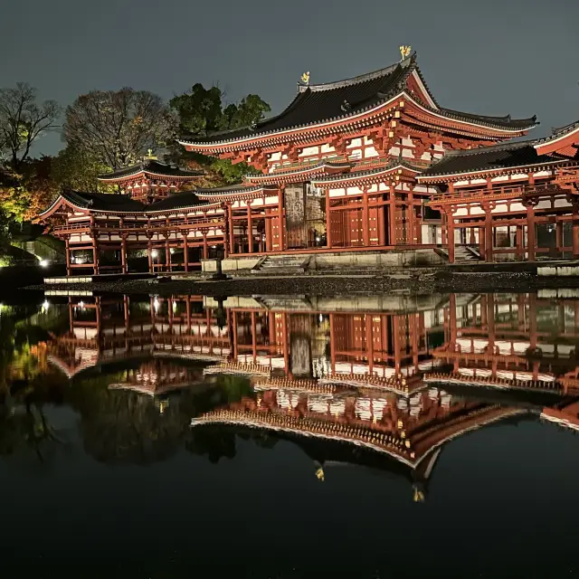 平等院 夜間特別拝観＠2022年秋