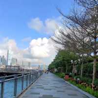Leisure walk along the amazing Victoria harbour front