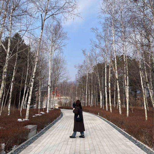 원주민도 강추하는 원주 관광지 “원주 뮤지엄산” | 안도 타다오 건축물 