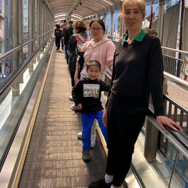 乘上開往春天的半山扶手電梯
