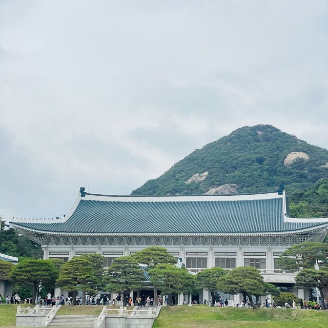 외국에는 백악관이 있다면 한국에는 “청와대”가 있다!