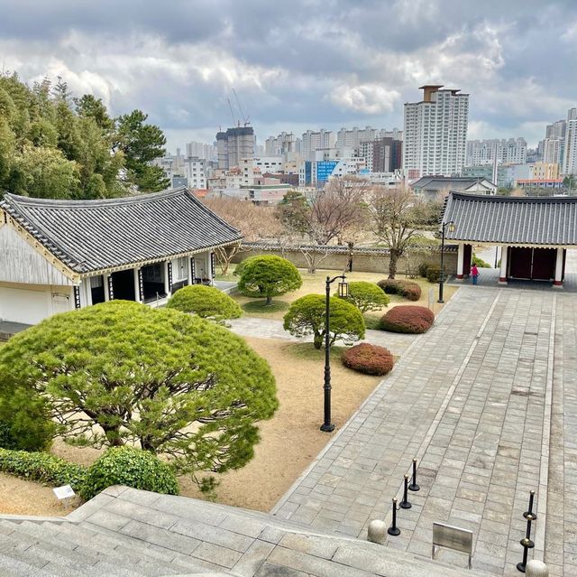 부산 동래 충렬사 ! 매화가 아름다운곳 숨은매화명소 🌸