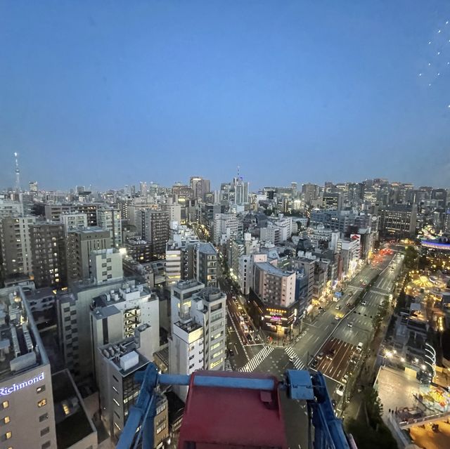 도쿄 도심 속 테마파크, 번개처럼 질주하는 롤러코스터가 있는 곳⚡️🐬