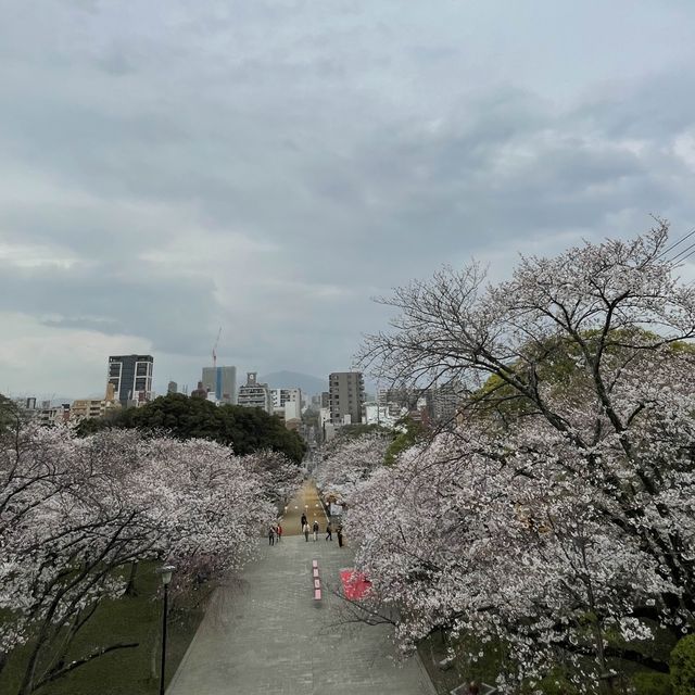 【福岡】桜百選西公園にある光雲神社参拝