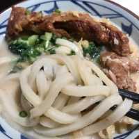 Marugame Seimen/Udon