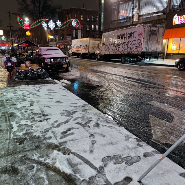 Snowbound Delight: Winter Frolics in Brooklyn