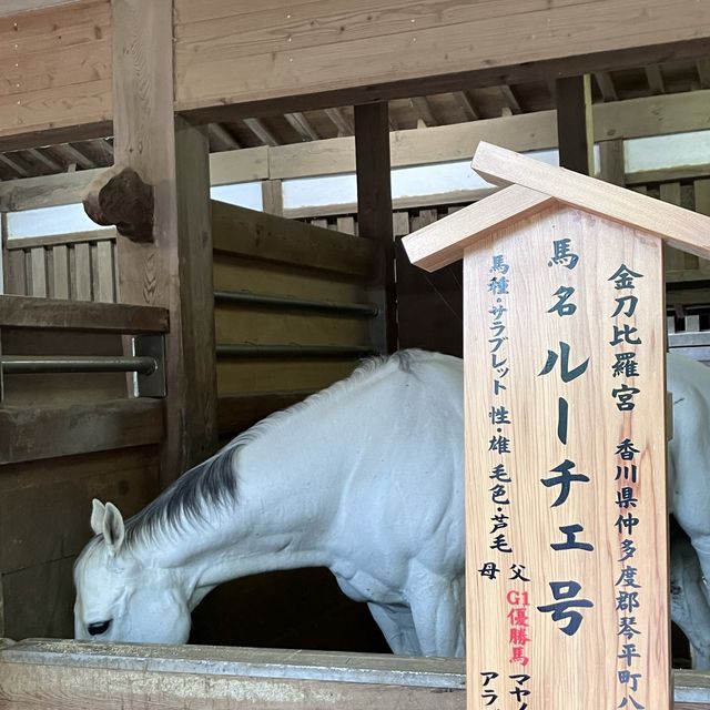 【香川】785段の石段登った先にある神社⛩️