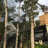 A Stunning 2 acres cafe in Balik Pulau!
