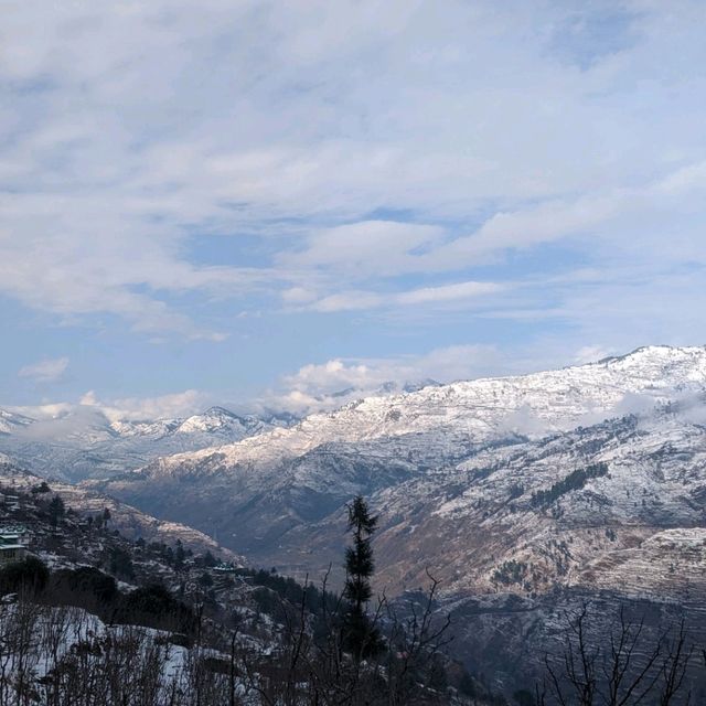 homestays in shimla