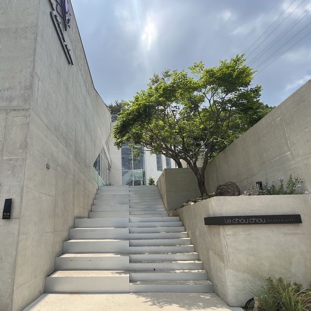 용인 신상 브런치 카페🌿