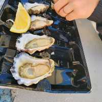 An hour at Sydney Fish Market