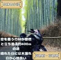 竹林の小径