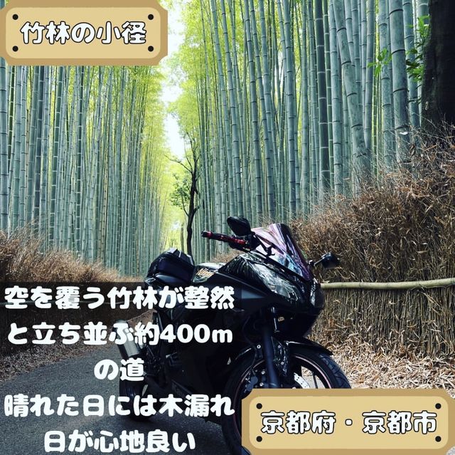 竹林の小径