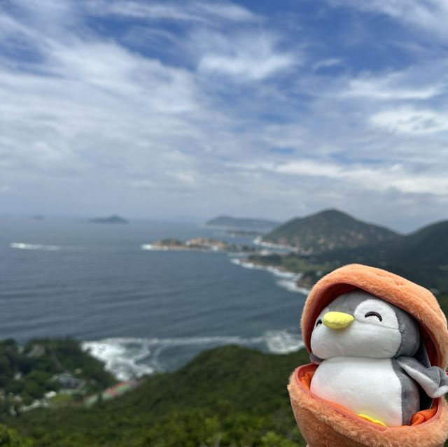 飛機鵝和橙鵝烈日行山🥵