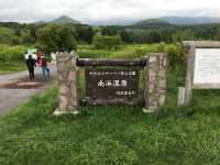 北海道　北海道観光　利尻島の南浜湿原に行ってきた！