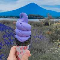 富士山🗻我終於見到啦！！