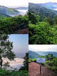  A nature retreat in Sungai Lembing