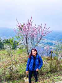 Hiking in Sapa During Winter