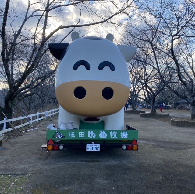 成田ゆめ牧場のひまわり