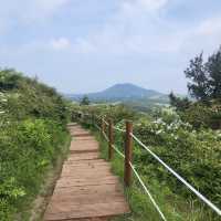 🌳 넓직한 풍경과 풍차 풍경이 보이는 백약이오름