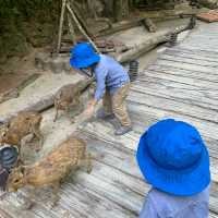 Lost World of Tambun Theme Park