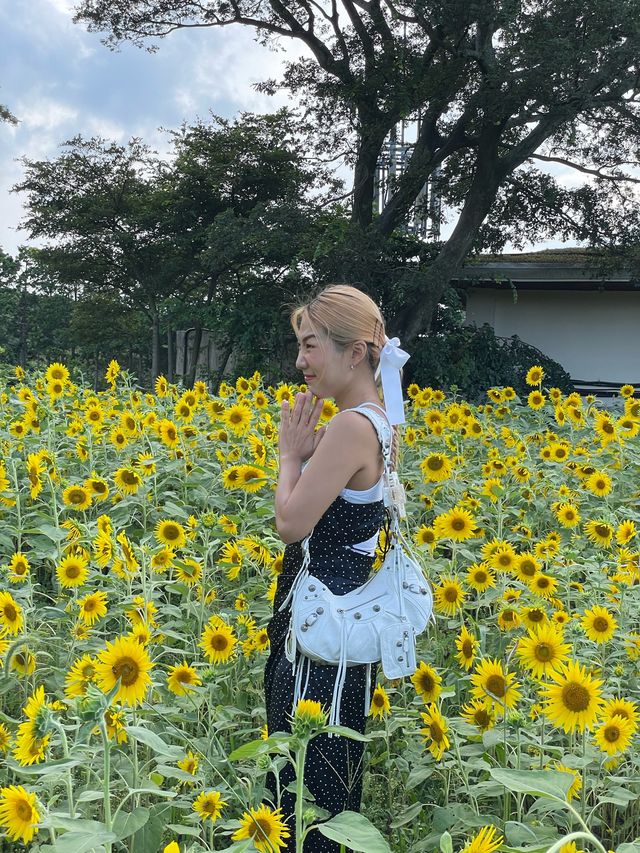 제주 애월 나만 알고 싶은 힐링코스 대방출!