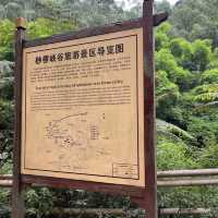 成都周邊桫欏峽谷：自然徒步